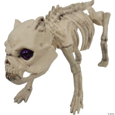 Featured Image for Pug Skeleton