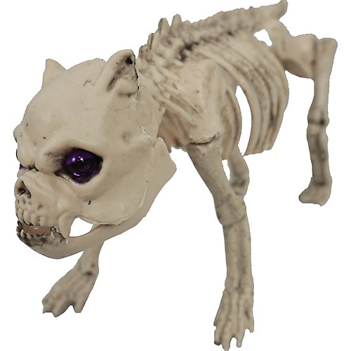 Featured Image for Pug Skeleton