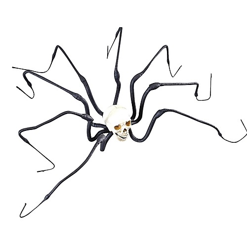 Featured Image for Large Skull Spider 47in
