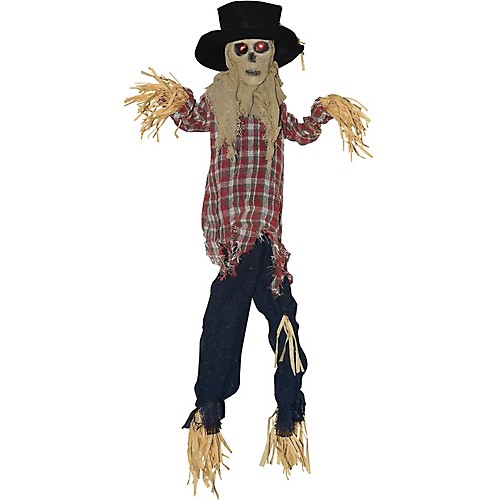 Featured Image for Kicking Scarecrow
