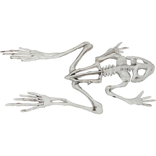 Featured Image for 8″ Frog Skeleton