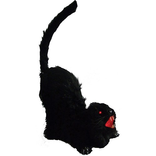 Featured Image for 14″ Animated Cat with Sound