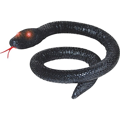 Featured Image for 40″ Black Snake with Light Eyes