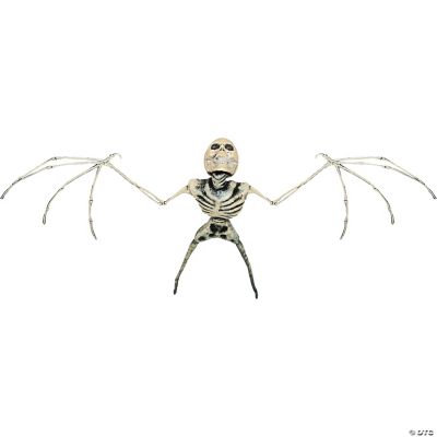 Featured Image for 25″ Bat Skeleton