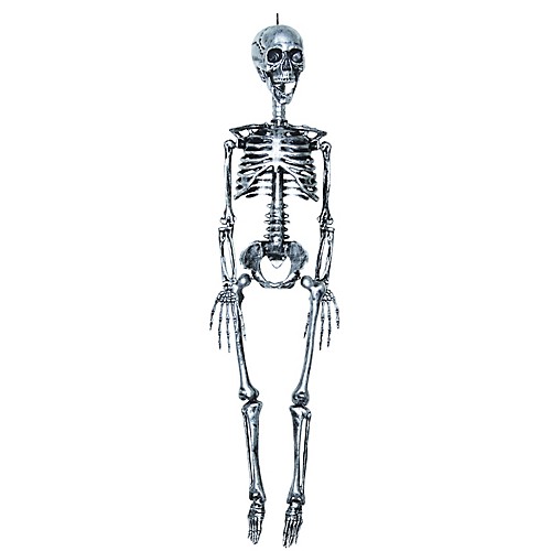 Featured Image for 35″ Skeleton