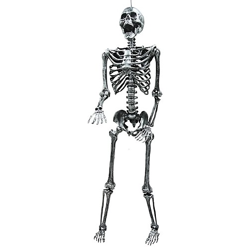 Featured Image for 5′ Light-up Skeleton