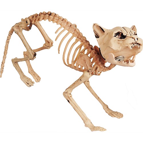 Featured Image for Skeleton Cat Sonic Realistic