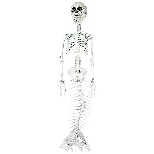 Featured Image for 30″ Mermaid Skeleton