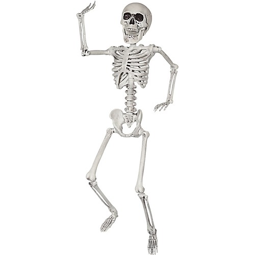 Featured Image for 24″ Skeleton