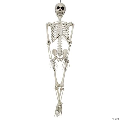 Featured Image for 36″ Skeleton