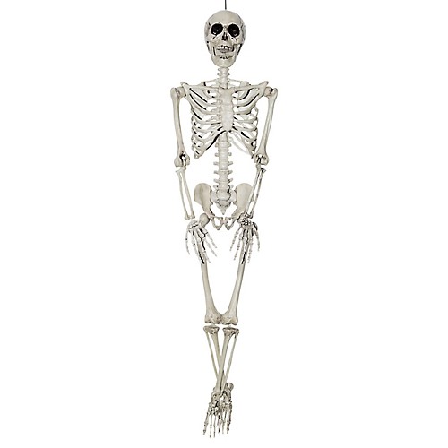 Featured Image for 36″ Skeleton