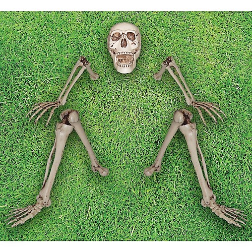 Featured Image for Ground Breaking Skeleton