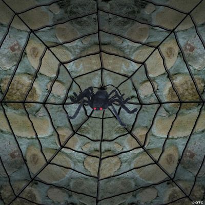 Featured Image for Giant Spider Web With Spider