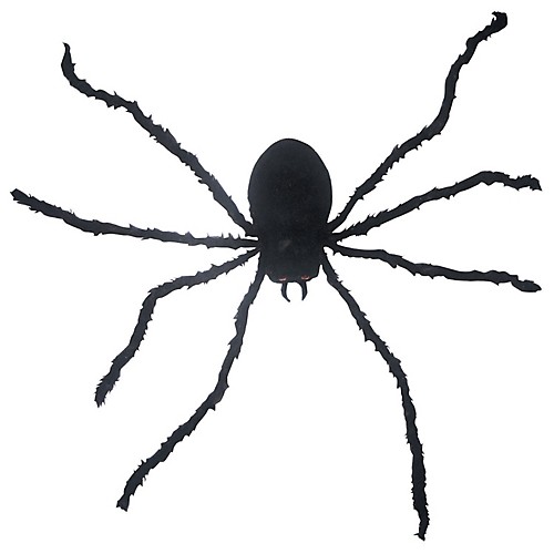 Featured Image for 11″ Light-Up Shaking Spider