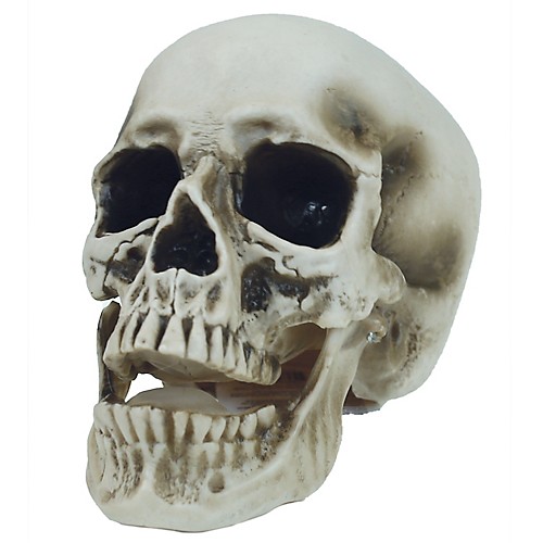 Featured Image for 7″ Vinyl Skull