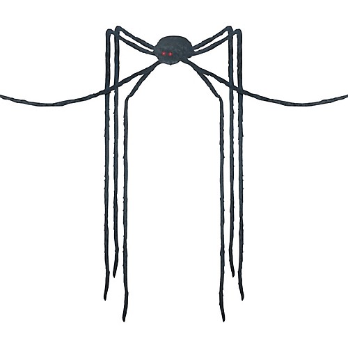 Featured Image for Giant Long-Legs Spider