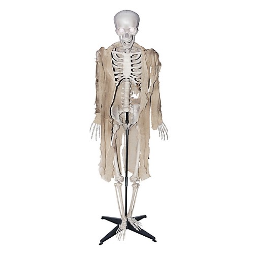 Featured Image for Talking Skeleton