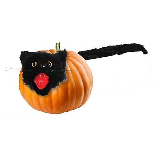 Featured Image for Cat Pumpkin Push-in