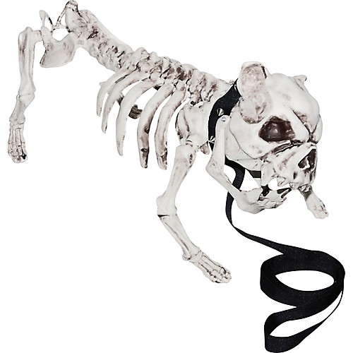Featured Image for Skeleton Dog