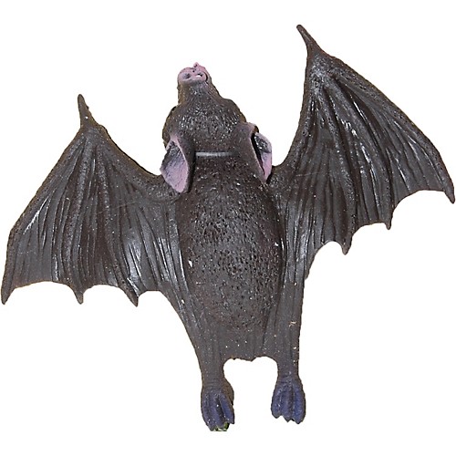 Featured Image for Soft Bat