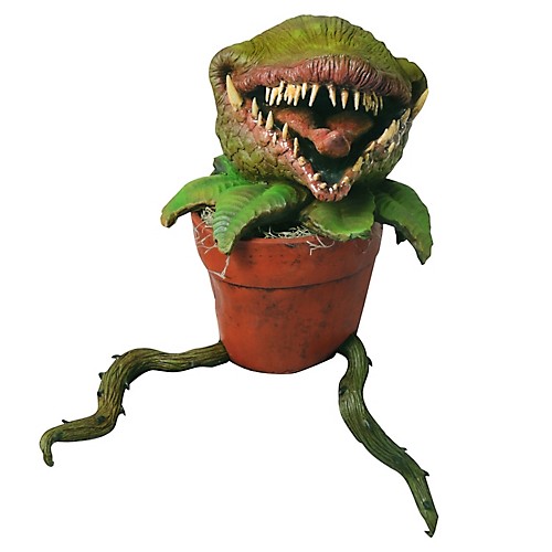 Featured Image for Man Eating Plant Puppet