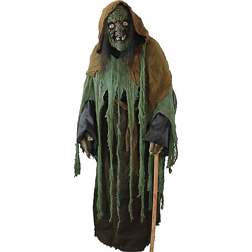 Featured Image for Adult Witch Ghoul Costume