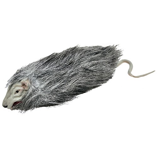 Featured Image for 9′ Realistic Furry Rat Prop