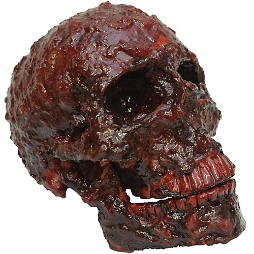 Featured Image for Blood Scab Resin Skull Prop