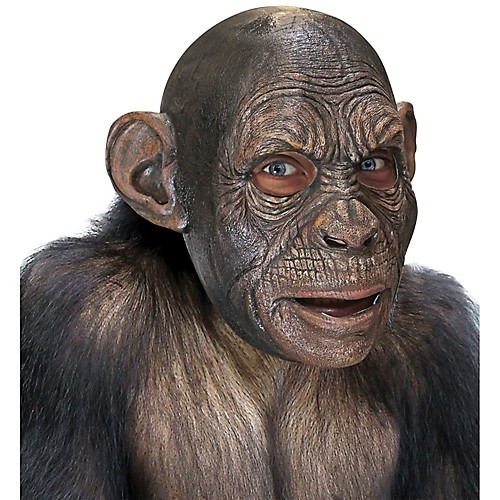 Featured Image for Blake Ape Latex Mask