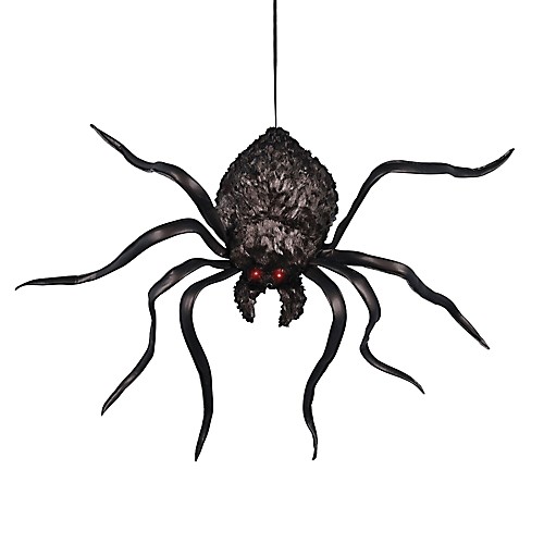 Featured Image for Hanging Shaking Spider