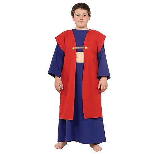 Featured Image for Boy’s Wiseman I Costume