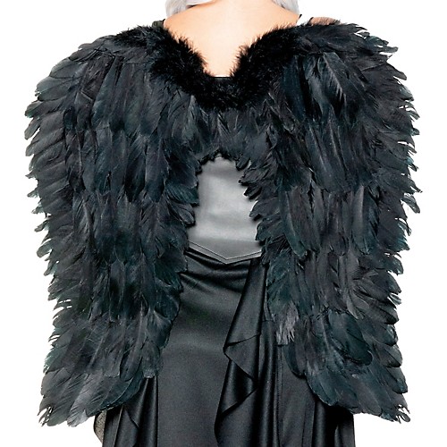 Featured Image for 26-Inch Adult Feather Wings