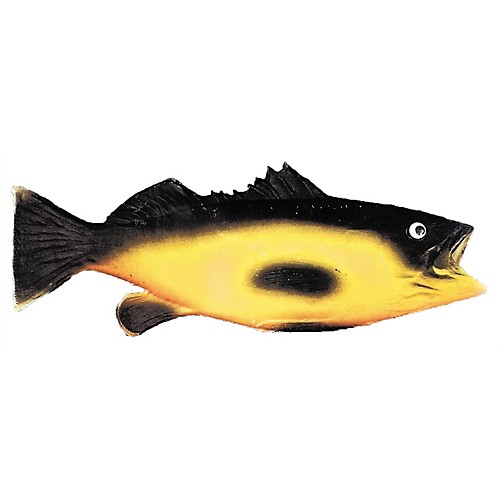 Featured Image for Rubber Fish