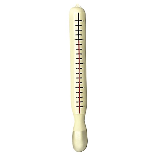 Featured Image for Jumbo Thermometer Gag
