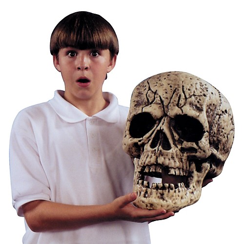 Featured Image for 13″ Giant Skull Prop